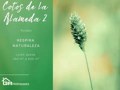 Fiambala