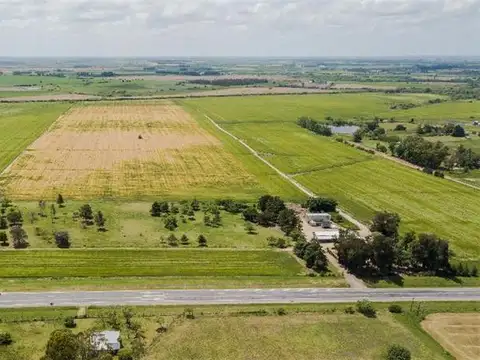 160 Ha Agrícolas para Proyectos Rentables