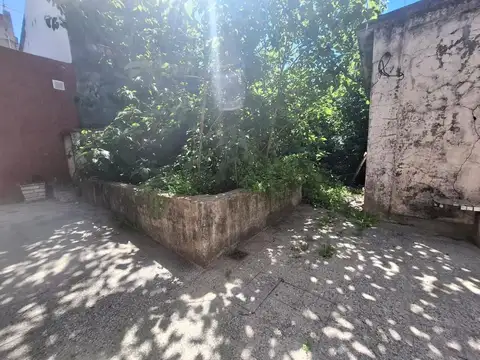 CARLOS GARDEL 3000
