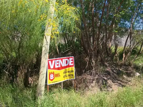 Terreno en Venta en Macrocentro, USD 15.500