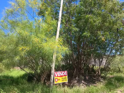 Terreno en Venta en Macrocentro, USD 15.500