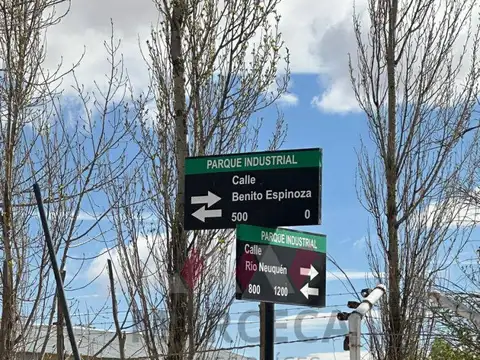 Rio Neuquen 1200