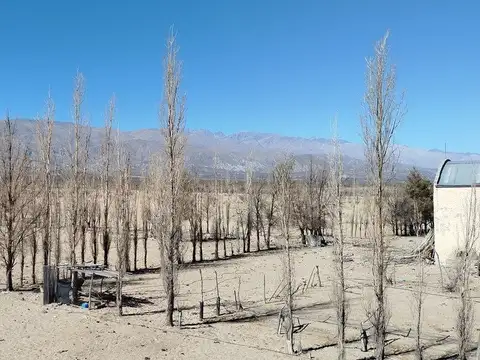 Ruta Nacional 40 KM 4236, Ampajango, Distrito San José 100