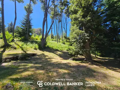 Terreno en Venta en Faldeo Del Bayo, Villa la Angostura