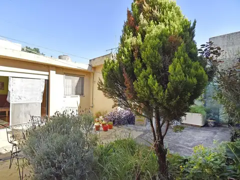Venta Casa 5 Ambientes en Haedo Lote Propio, Jardín y Gran Potencial a Refaccionar