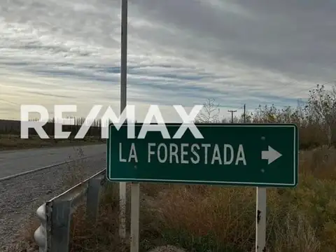 VENTA LOTE DE 1421 M2 UNIFICADO LA FORESTADA AÑELO