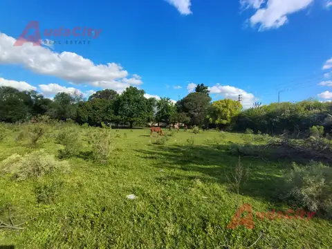 Terreno 4 hectareas en Presidente Derqui