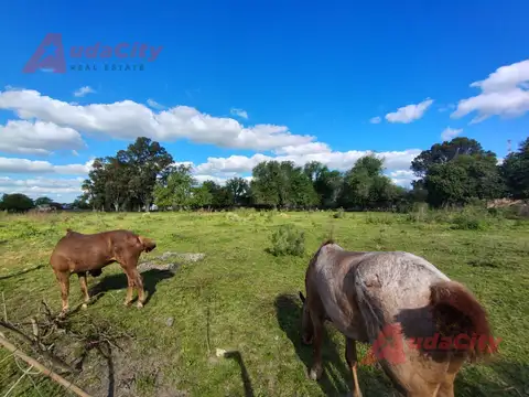 Terreno en Venta de 42045,0 m2
