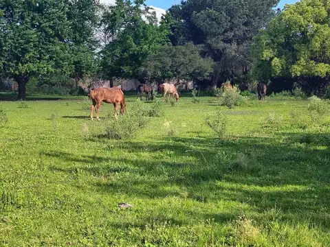 Terreno 4 hectareas en Presidente Derqui