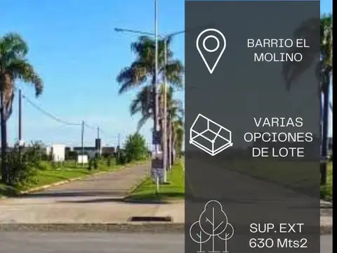 ROLDAN El Molino Barrio Abierto. ESCRITURA. Gas.