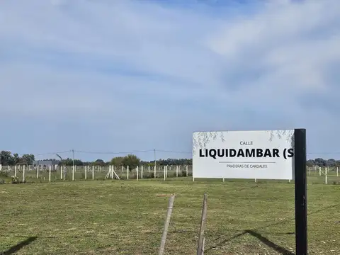 Terreno en Venta de 1660,0 m2