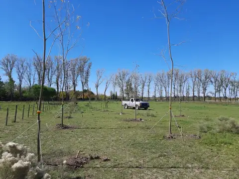 Lote 5000m2 en VENTA en El Malacate