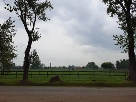 Lote 5000m2 en VENTA en El Malacate