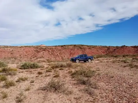 EN VENTA LOTE 9992 M² VACA MUERTA - SENILLOSA