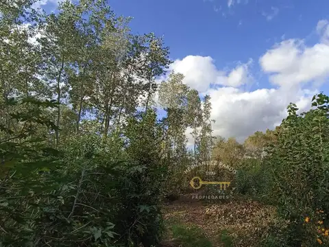 Terreno en Venta en San Jose De Carrasco, USD 1.400.000