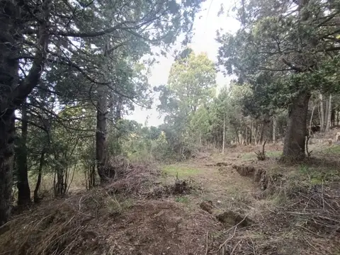 VENTA DE AMPLIO LOTE EN VIRGEN MISIONERA BARILOCHE