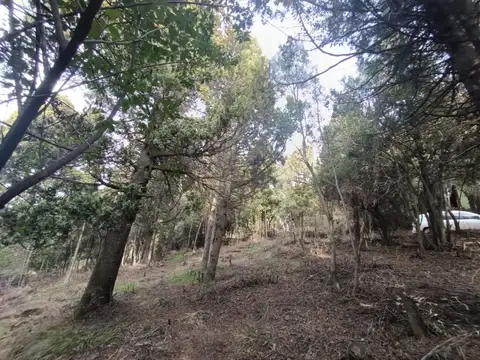 Terreno en Venta de 2381,0 m2