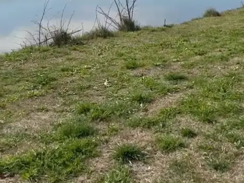 Terreno en Venta de 750,0 m2