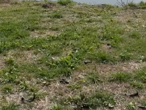 Ruta 58 y el pampero