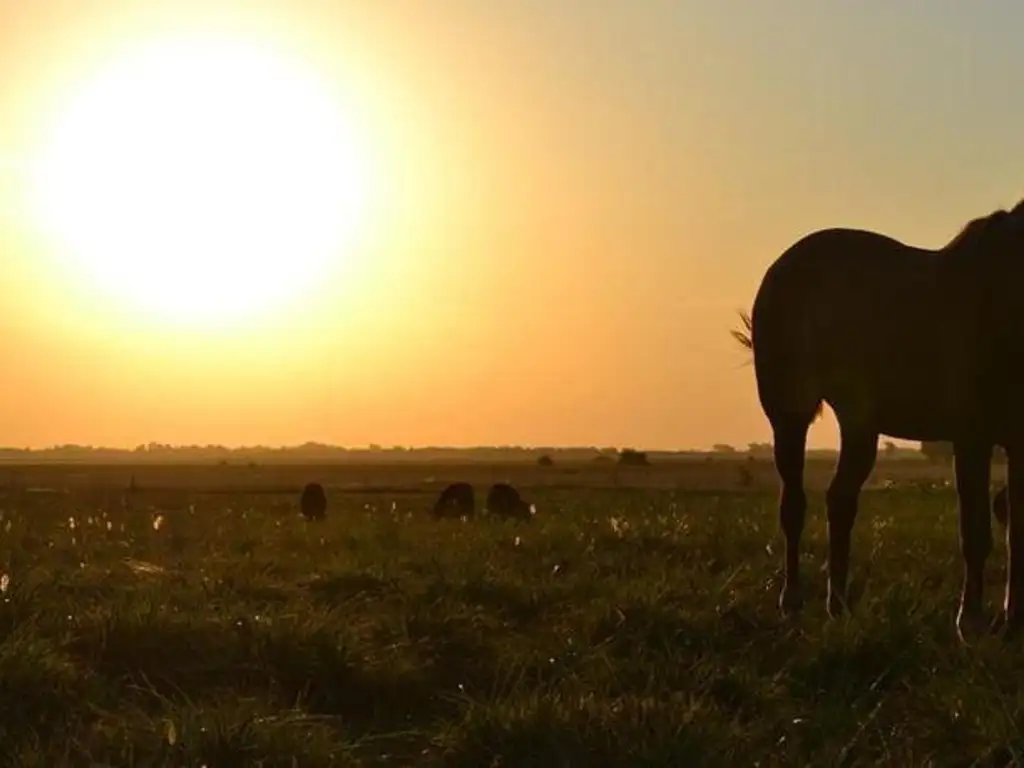 Terreno en El Mirador Club de Campo
