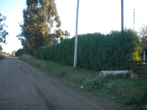 casa de 3 dormitorios sobre 1400m2 de terreno