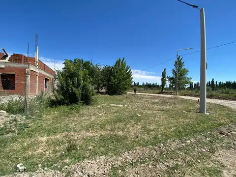 Laprida 100