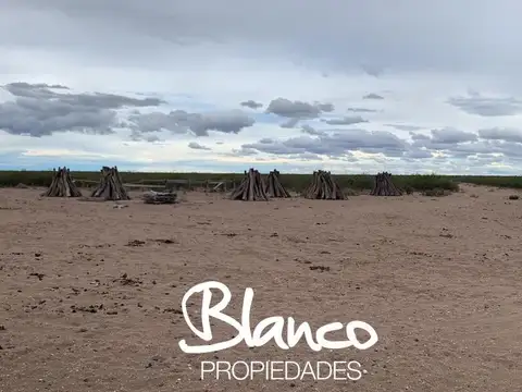 Campo  en Venta en Santa Isabel, Chalileo, La Pampa