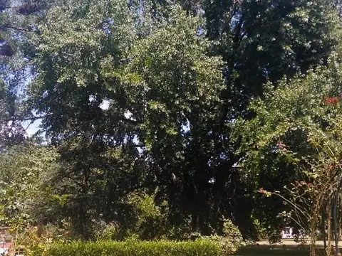 Venta Lote 3.014,84 Metros Loma Verde Apto Crédito