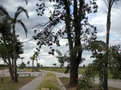 Terreno en Venta 25  mts Fondo