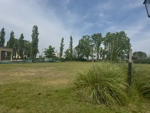 Terreno en Venta en Alejandro Petion, USD 42.000