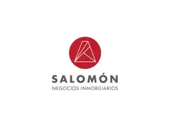 SALOMON NEGOCIOS INMOBILIARIOS