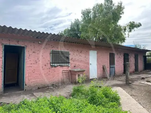 CAMPO PARADA ROBLES EXALTACION DE LA CRUZ 2 HECTAREAS