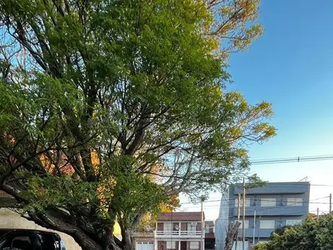 Calle 36 300