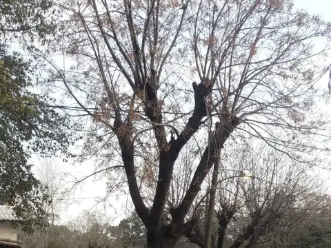 Casa en Venta en La Reja, USD 630.000