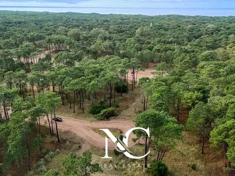 Terreno en venta en Pinamar Norte Barrio Bosques Etapa 1