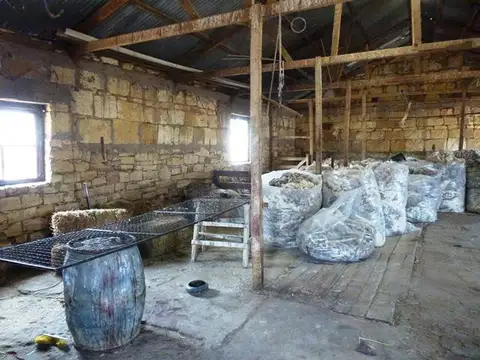 INMOBILIARIA COMODORO - CAMPO 5.000 has LISTO PARA PRODUCIR - AGUADAS NATURALES