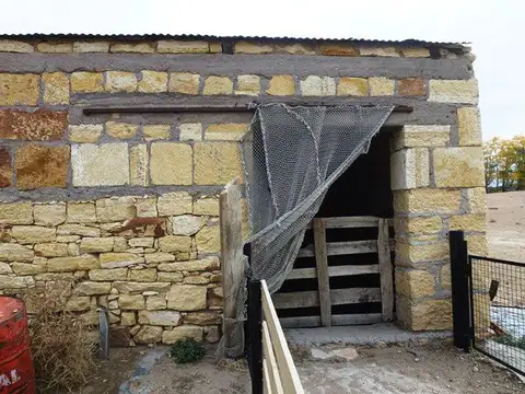 Pico Truncado
