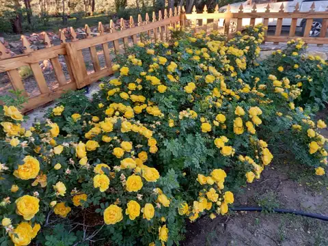 INMOBILIARIA COMODORO - CAMPO 5.000 has LISTO PARA PRODUCIR - AGUADAS NATURALES