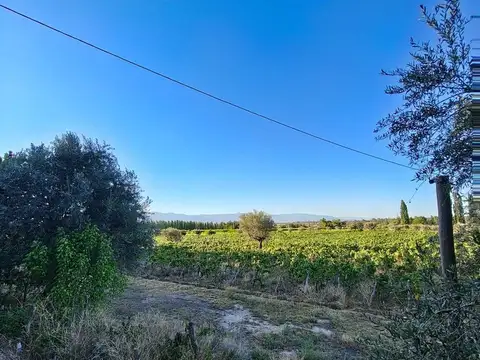 INCREIBLE TERRENO EN OLAVARRIA 4 HA.