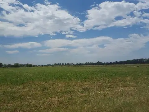 Camino Real A Moreno