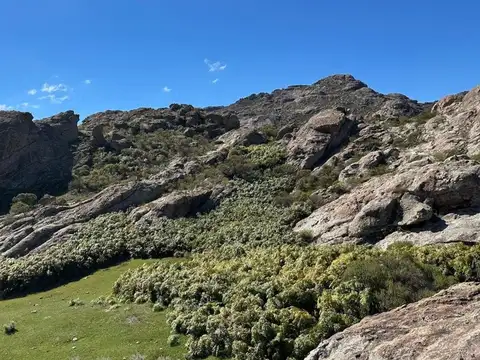 Terreno en Venta de 13300,0 m2