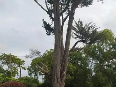 Lote de 20x43,30 en el barrio Caisamar