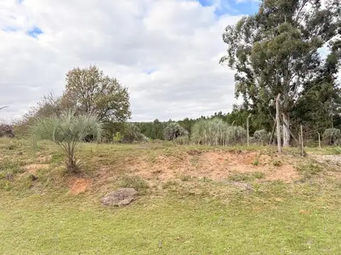 Acceso Calabacilla