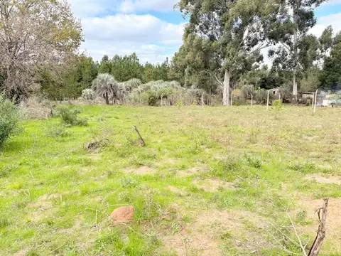 Terreno en Venta en Calabacillas, USD 13.000