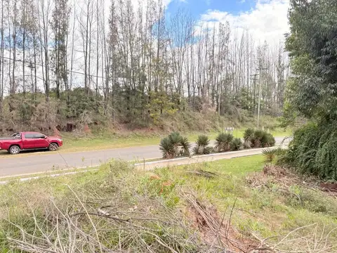 TERRENO CALABACILLA