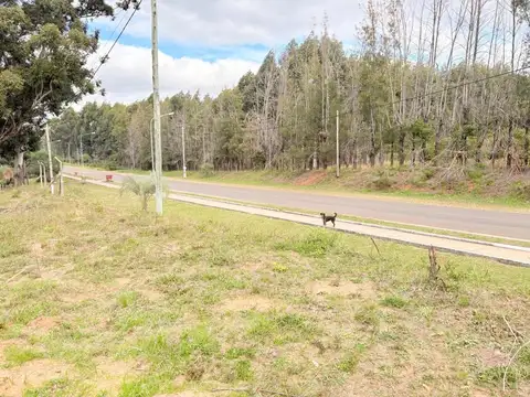 Acceso Calabacilla