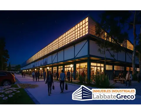 LOCALES COMERCIALES EN SAN MARTIN DENTRO DE COMPLEJO