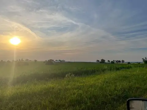 Terreno de 500 m2 en LOS CARDALES - Colonia Ensayo