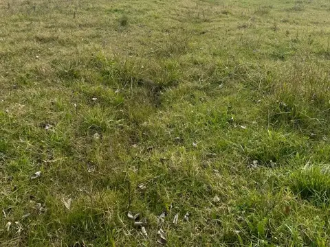 Rp28 Km 3,44, Gral. Rodríguez