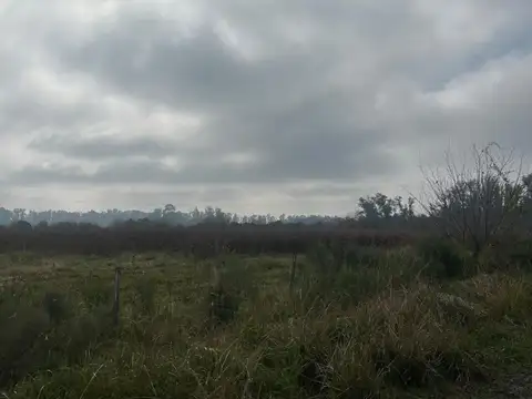 Campo en Venta Mixto